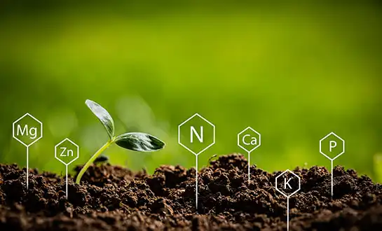 Fixing Crop Nutrient Deficiency with Amino Acid Peptide Fertilizer